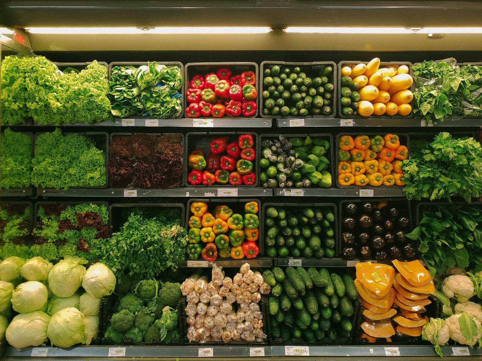 About NutriScan